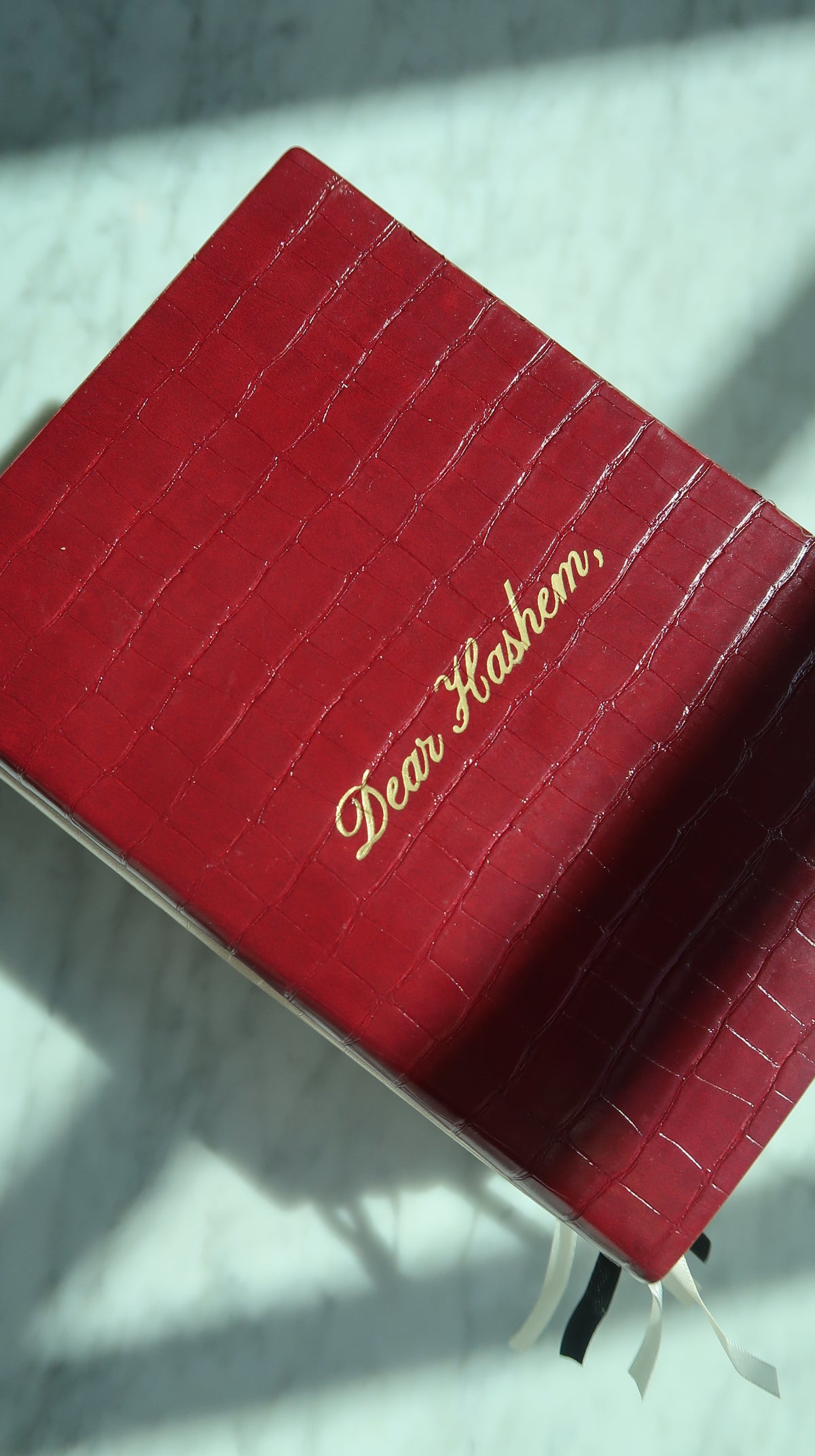 Close-up of Cherry’s red crocodile-texture cover and gold Dear Hashem lettering