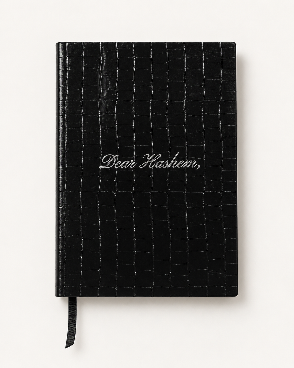 Layla Dear Hashem Journal, studio cover view with silver lettering