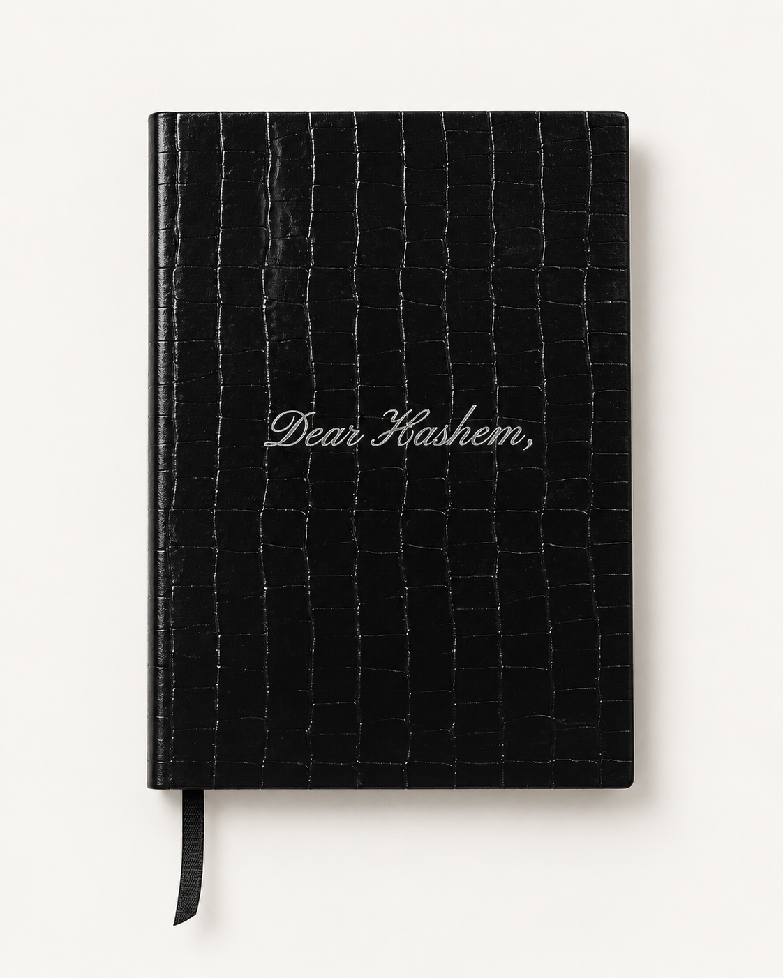 Layla Dear Hashem Journal, studio cover view with silver lettering